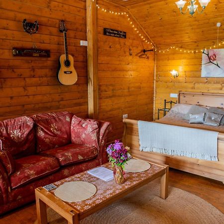 Blossom Cabin - Little Log Cabin In Wales นิวทาวน์ ภายนอก รูปภาพ