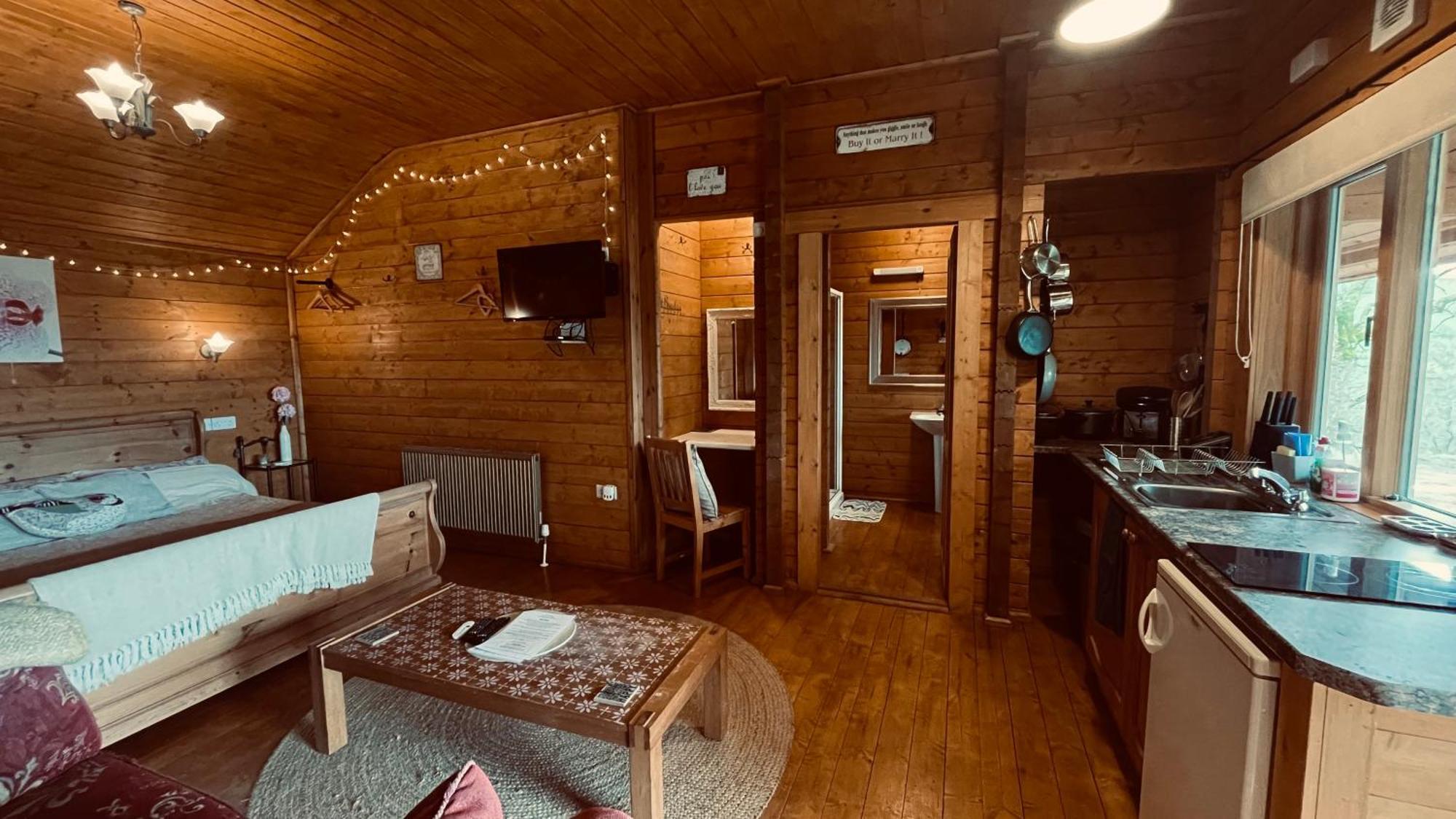 Blossom Cabin - Little Log Cabin In Wales นิวทาวน์ ภายนอก รูปภาพ