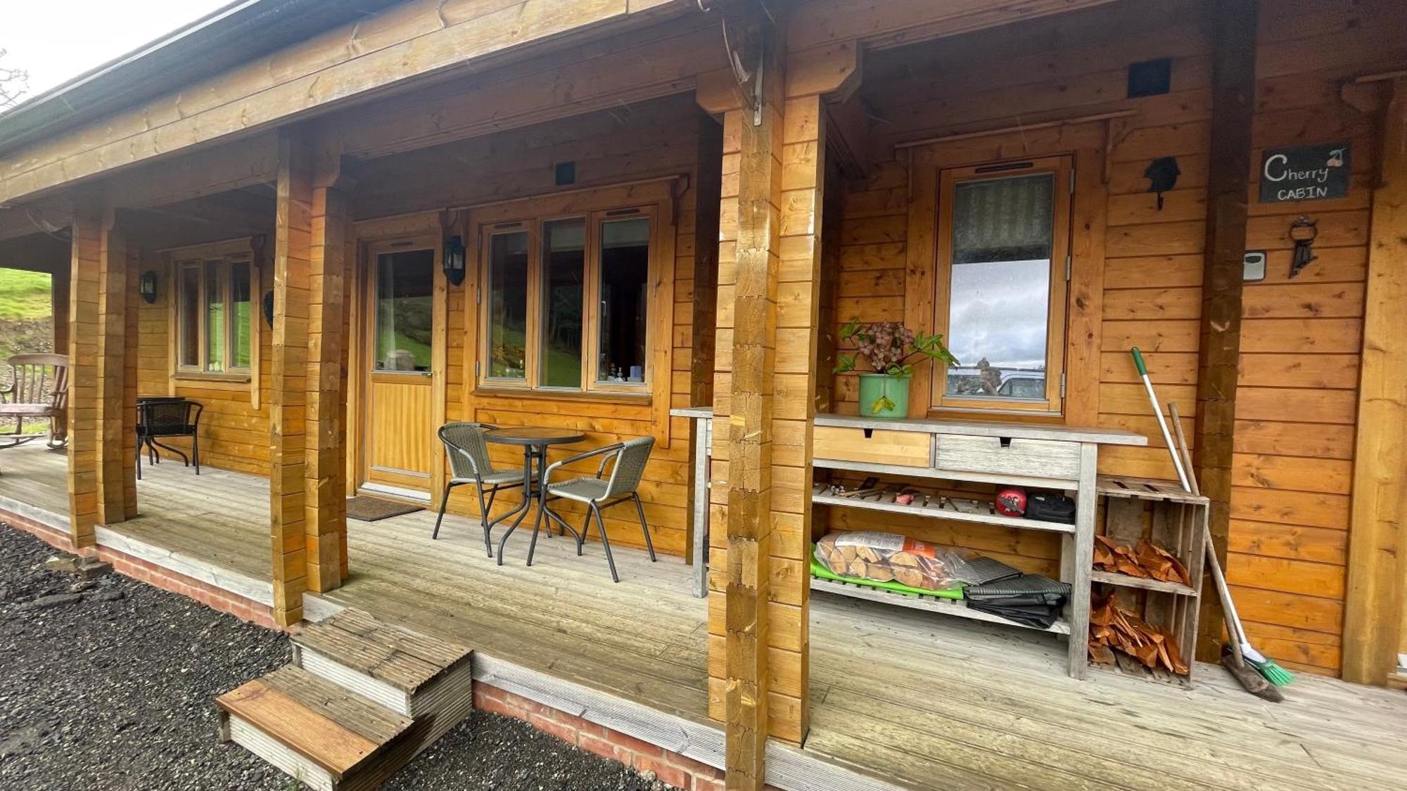 Blossom Cabin - Little Log Cabin In Wales นิวทาวน์ ภายนอก รูปภาพ