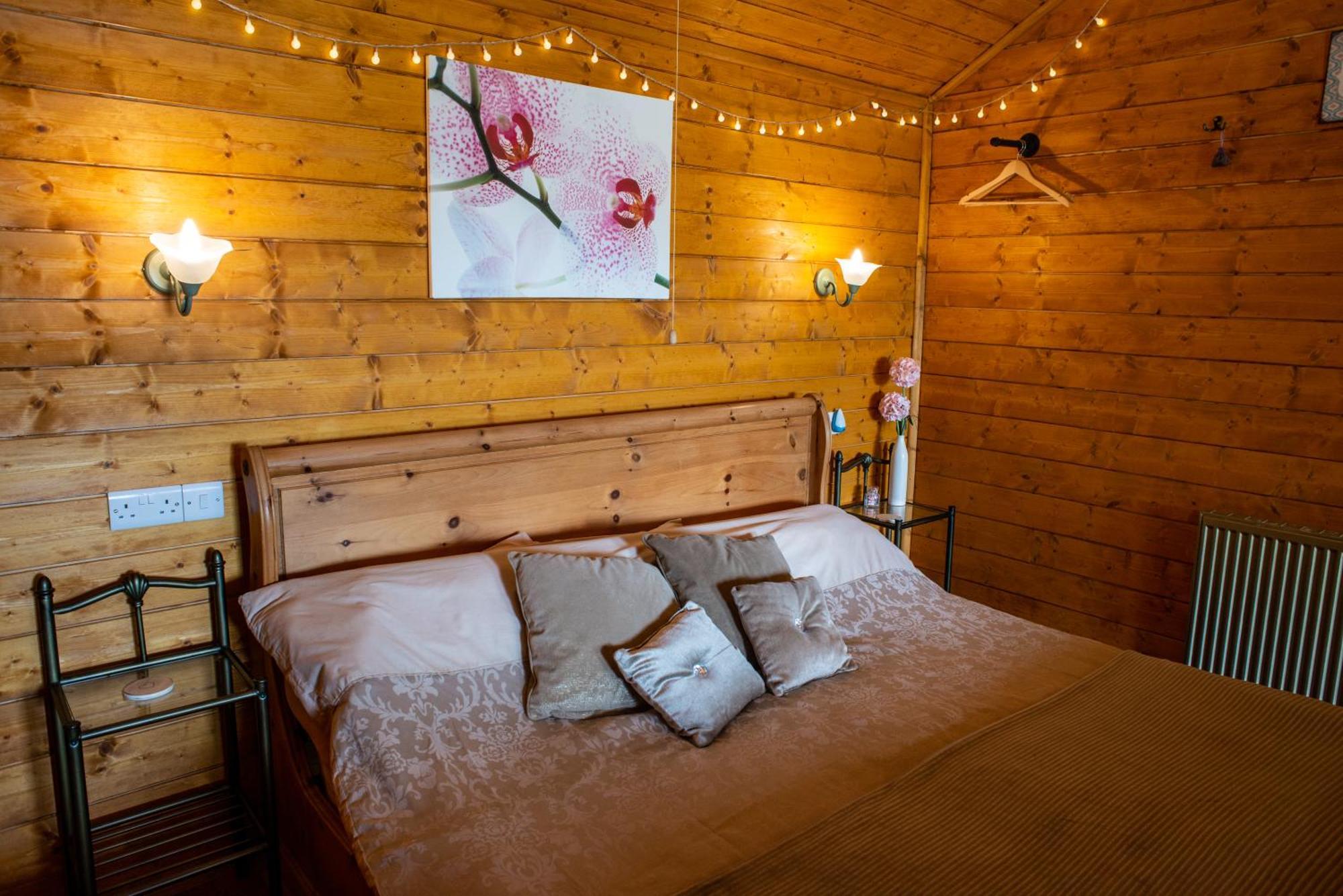 Blossom Cabin - Little Log Cabin In Wales นิวทาวน์ ภายนอก รูปภาพ